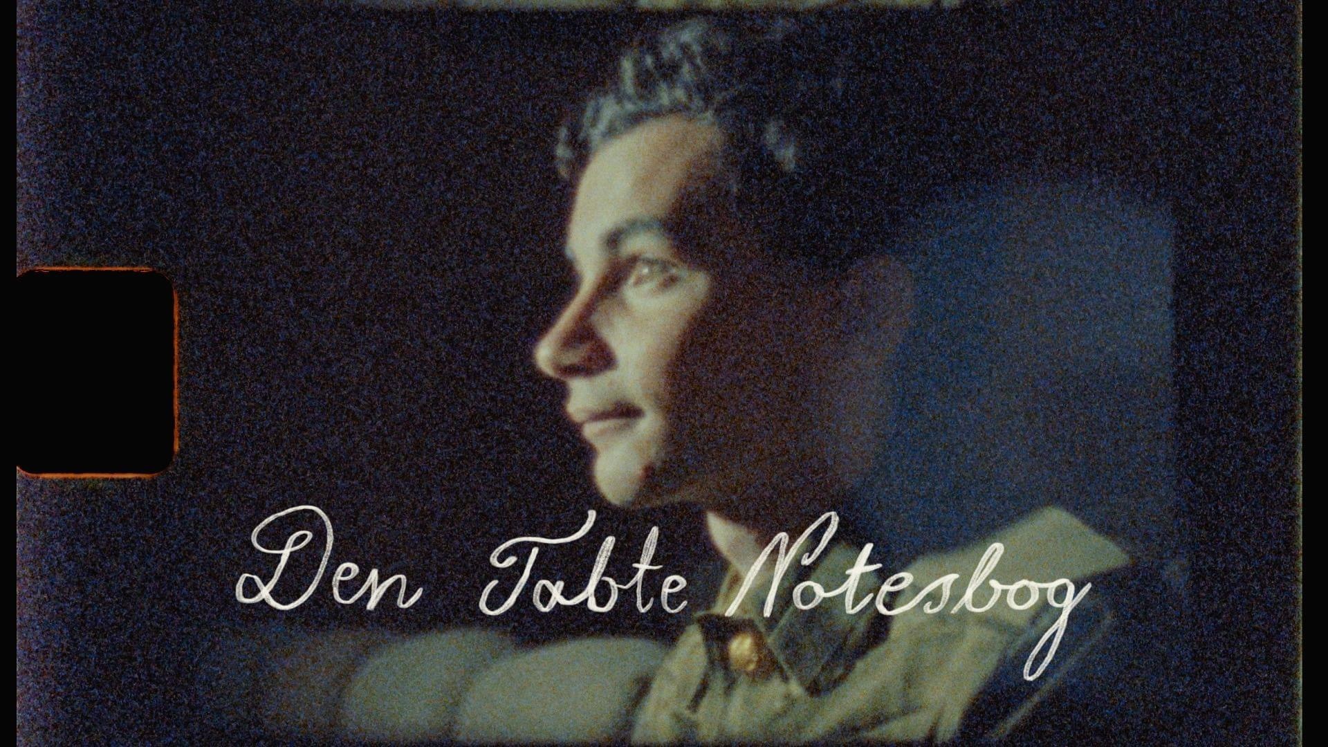 ‘Den Tabte Notesbog’ kunne have været en fantastisk fortælling, men ender som den tabte historie 
